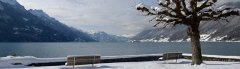 DSC_0869A.jpg